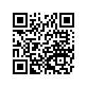 161870070 Needle-jet, Obeks