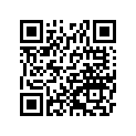 161870071 Needle-jet, Obekt      (option)