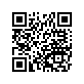 161870072 Needle-jet, Obeku      (option)