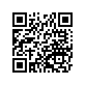 161870094 Needle-jet, Obels      (option)