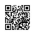 161870160 Needle-jet, Nftw       (option)