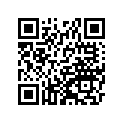 161870164 Needle-jet, Nfuh       (option)