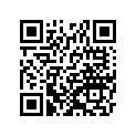 161870190 Needle-jet            (option)