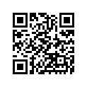 161870192 Needle-jet, Ncyt       (option)