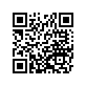 161870213 Needle-jet, Ncvq       (option)