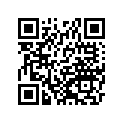161870218 Needle-jet, Ncvv       (option)
