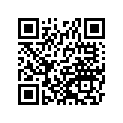 161870219 Needle-jet, Ncvw       (option)