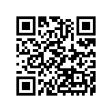 161870262 Needle-jet, Nhkr       (option)