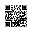 161871071 Needle-jet, N4yp