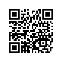 161871081 Needle-jet, N3wm       (option)