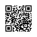 161871089 Needle-jet, N7pw       (option)