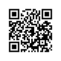 161871155 Needle-jet, Nale       (option)