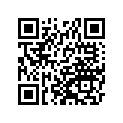 161871163 Needle-jet, Nafh       (option)