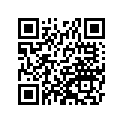 161871168 Needle-jet, 6bef16-71  (option)
