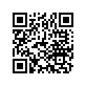 16201-096-306 Gasket