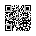 16202-430-000 Ndl, Jet (31b)