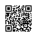 16202-467-004 Ndl, Jet (31n)