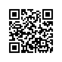16202-GF5-004 Ndl, Jet (689)