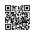 16203-KZ3-A20 Ndl, Jet (r1369ls)