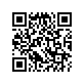 16205-430-000 Ndl, Jet (31e)