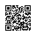 16205-467-004 Ndl, Jet (31q)