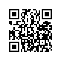 16205-KZ3-A20 Ndl, Jet (r1371ls)
