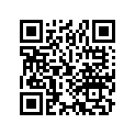16207-169-004 Ndl, Jet (68g)