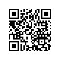 16209-430-000 Ndl, jet (31j)