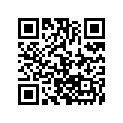 1621-687 DECAL,TUNNEL-137/141