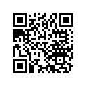 16211-259-000 Insulator