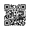16232-KZ3-J11 Ndl, Jet (r1370eka)