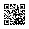 163-21110-00-81 FRAME