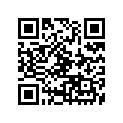 164-11651-00-00 . Rod, Connecting