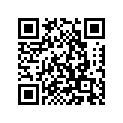 164-17417-00-00 Shim DT250A