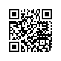 164-81246-21-00 Винт