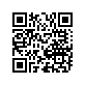 164125 Gasket