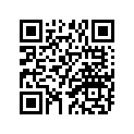 165-81132-20-00 PLATE,TIMING