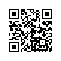 165-81153-21-00 Governor Asy