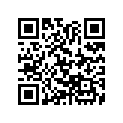 16513-898-000 PIN,GOVERNORWEIGHT