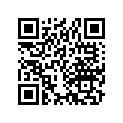 16521-836-000 SLIDER,GOVERNOR
