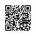 16531-898-000 SLIDER,GOVERNOR