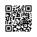16598-889-731 STAY, CHOKE CONTROL