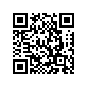 166-81332-20-00 