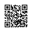 167021 Направляющая chain