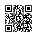 16707-KWN-711 Filter Set