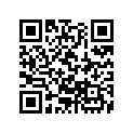 16707-Z37-003 Filter Set