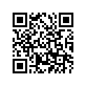 168-13161-00-00 