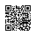 16963-HC0-670ZA Lever *pb198*