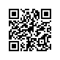16G-13411-00-00 