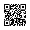 16M-17161-00-00 